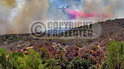 8.8.2016 Pilot Incident