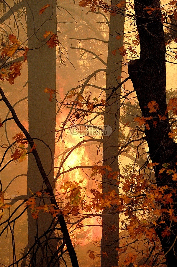 10.24.07 Slide Incident 10.24.07 Slide Incident