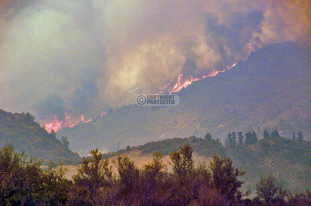 7.8.2007 Zaca Incident 7.8.2007 Zaca Incident