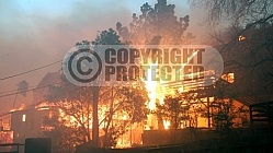 11.24.2007 Corral Incident