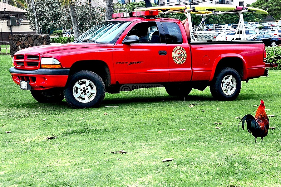 Kauai County Fire Department