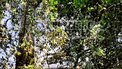 7.1.2008 Gap Incident