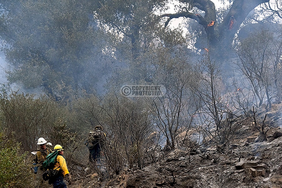 Camino Incident Camino Incident