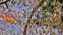 7.1.2008 Gap Incident