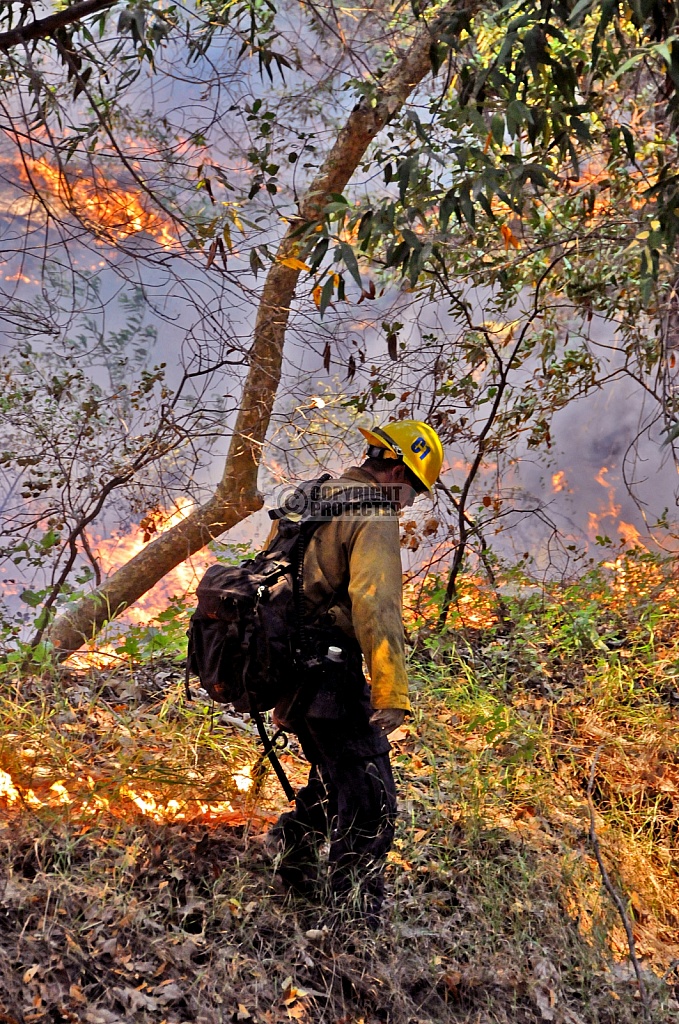 7.1.2008 Gap Incident