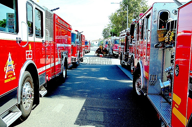 8.3.2012 Savanna Incident