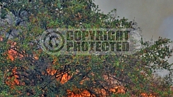 7.1.2008 Gap Incident