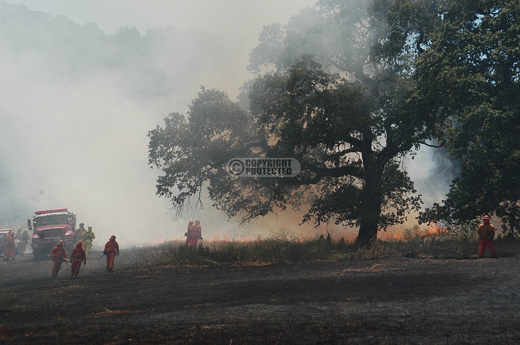 6.22.2005 Santa Clara Co. wildland training